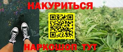 прущие грибы Комсомольск-на-Амуре