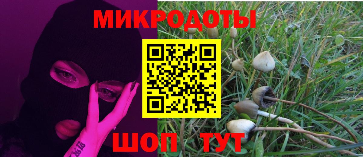 Псилоцибиновые грибы Cubensis  купить наркотики сайты  Галлюциногенные грибы мухоморы  Канск  Вход с VPN 