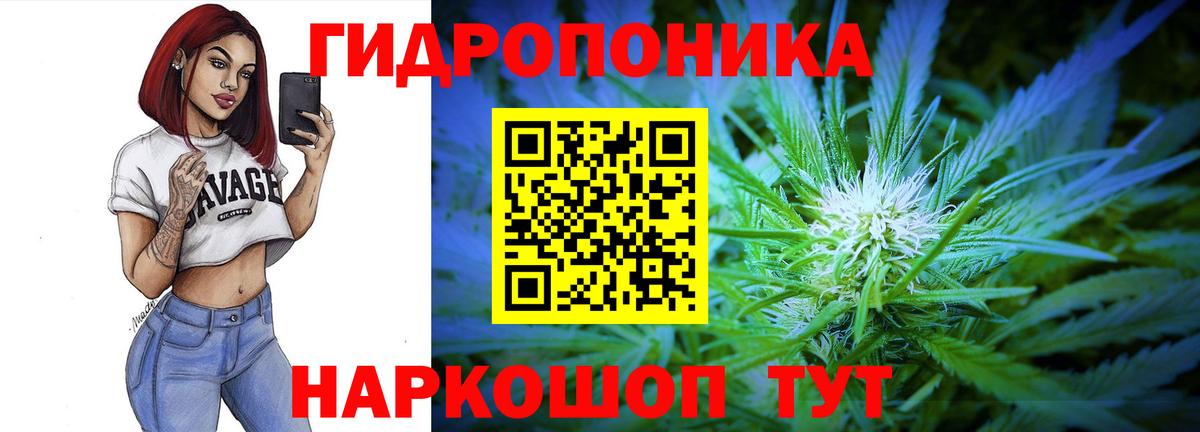 Шишки марихуана планчик  Вход с VPN  Бошки марихуана SATIVA & INDICA  Канск  МАРИХУАНА сатива  Бошки марихуана конопля 